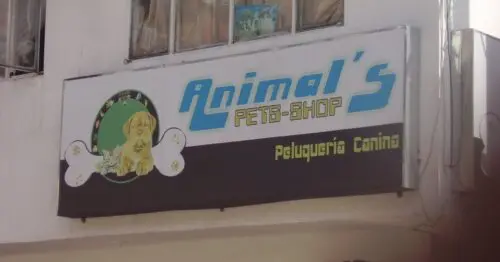 ANIMALS PET SHOP BOGOTÁ ANIMALS PET SHOP BOGOTÁ
